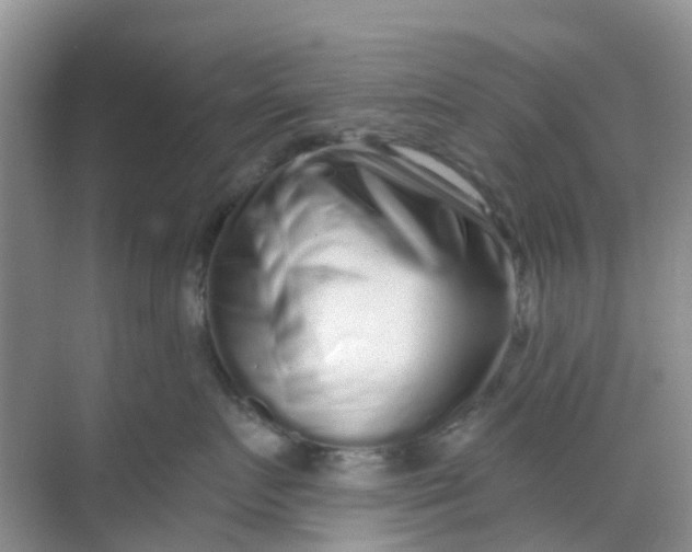 X0000069360719200605261958