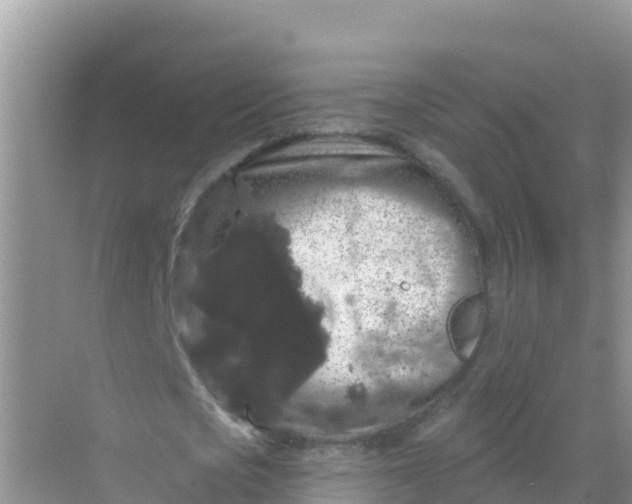 X0000069360721200605261958