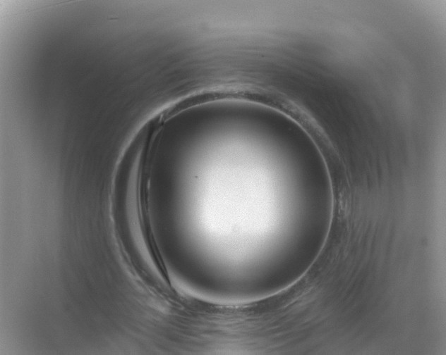 X0000069360724200605261958