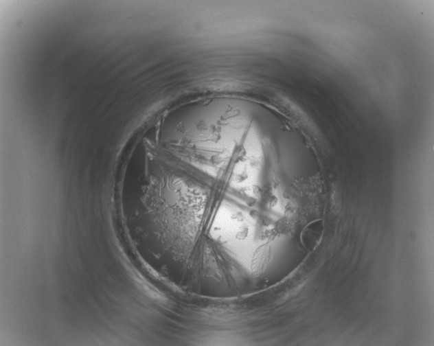 X0000069360725200605261958