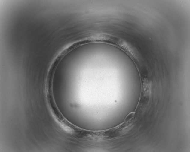 X0000069360726200605261958