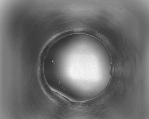 X0000069360728200605261958