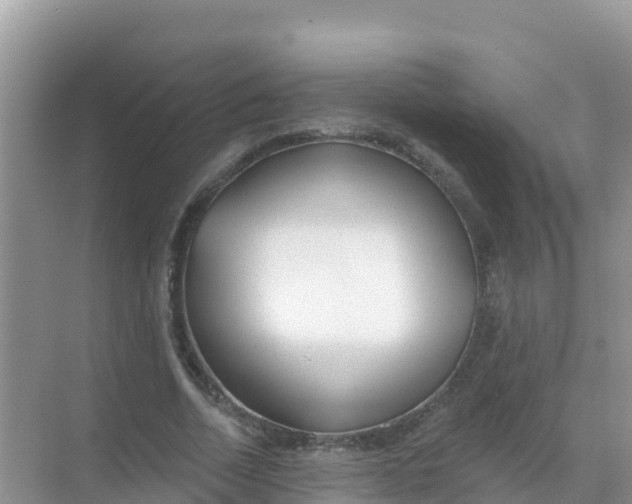 X0000069360730200605261958