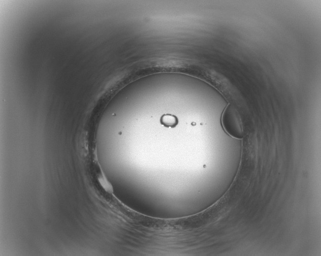 X0000069360731200605261958