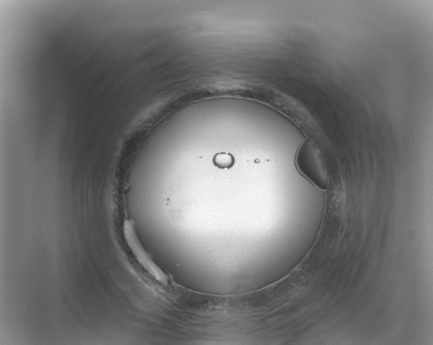 X0000069360732200605261958