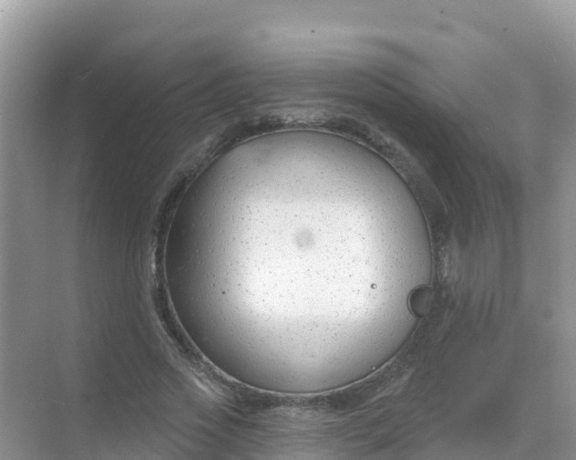 X0000069360733200605261958