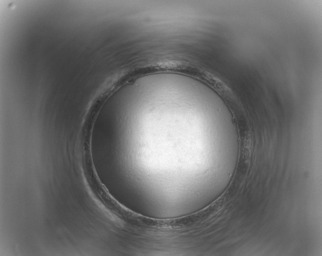 X0000069360734200605261958