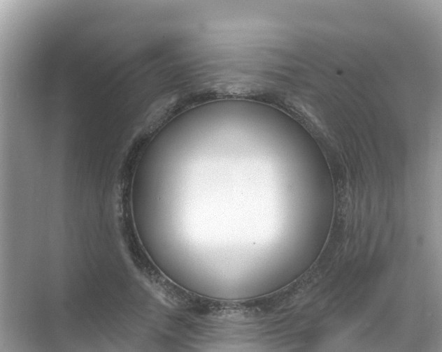 X0000069360738200605261958