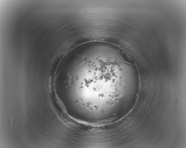 X0000069360742200605261958