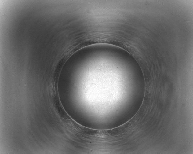 X0000069360743200605261958