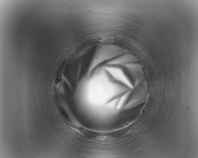 X0000069360748200605261958