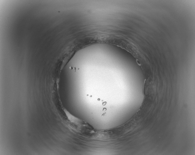 X0000069360750200605261958