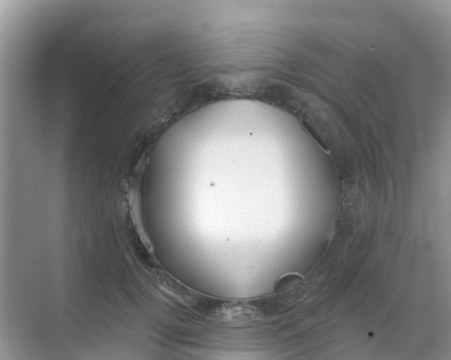 X0000069360752200605261958