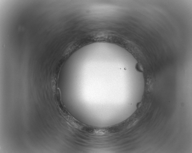 X0000069360753200605261958