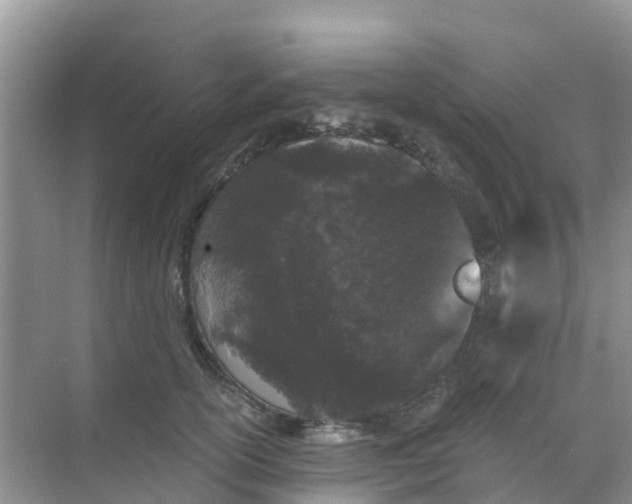 X0000069360754200605261958