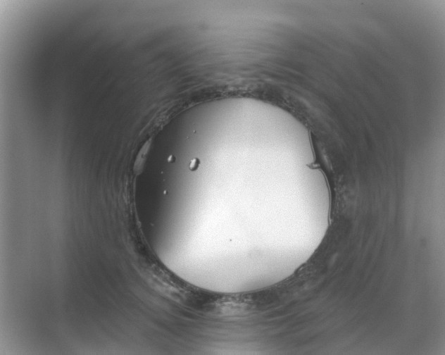 X0000069360756200605261958