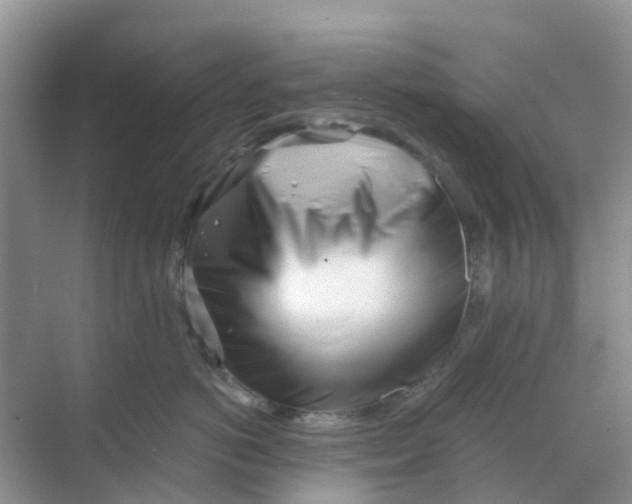 X0000069360766200605261958