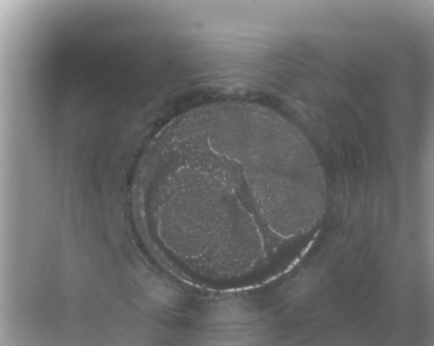 X0000069360769200605261958