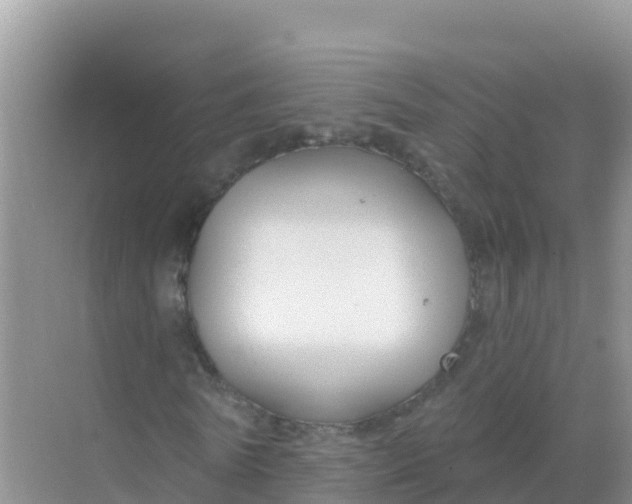 X0000069360770200605261958