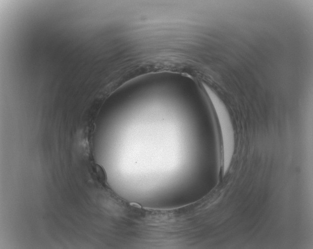 X0000069360771200605261958