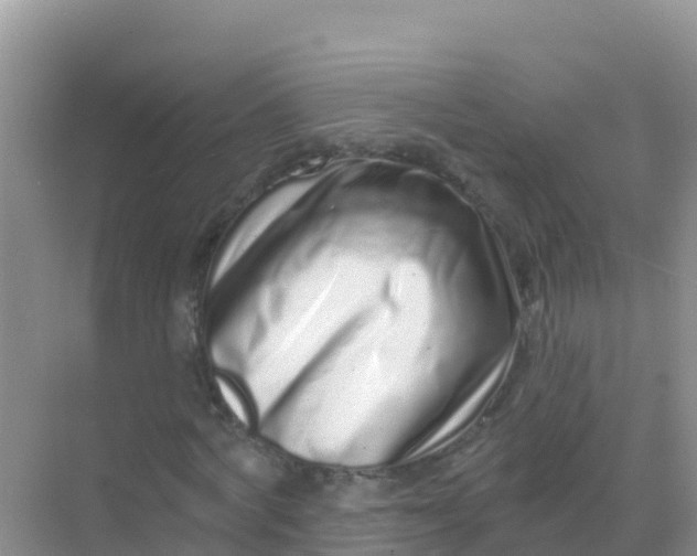 X0000069360772200605261958