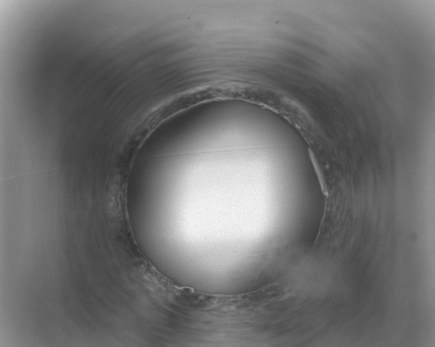 X0000069360773200605261958