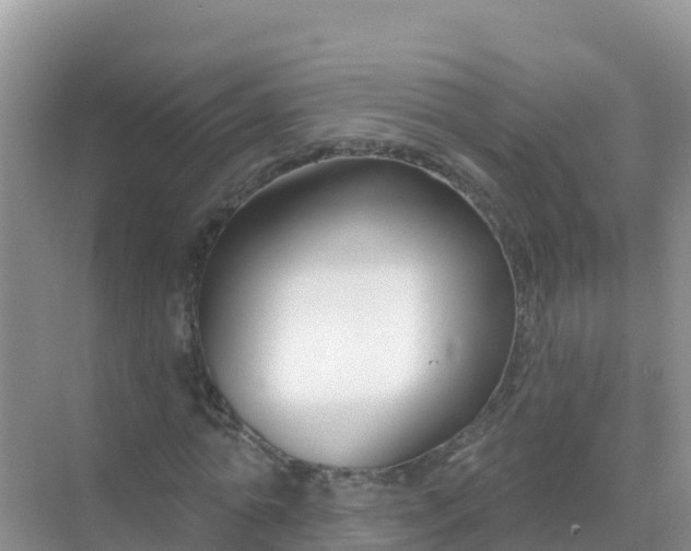 X0000069360774200605261958