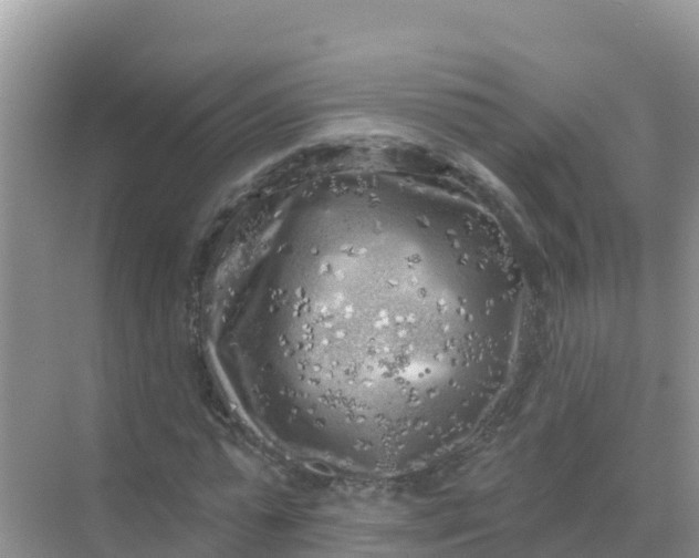 X0000069360775200605261958