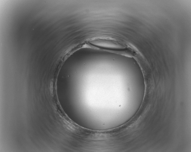 X0000069360777200605261957