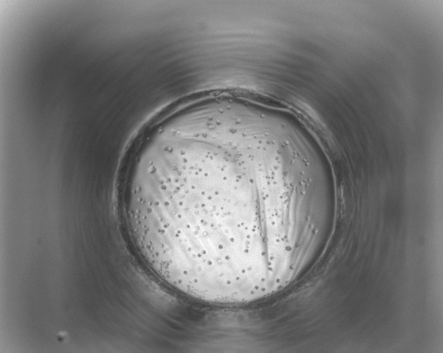 X0000069360780200605261957