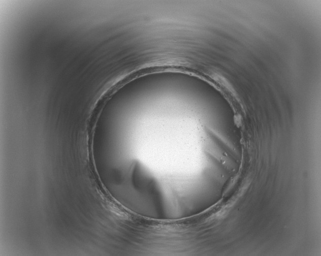 X0000069360781200605261957