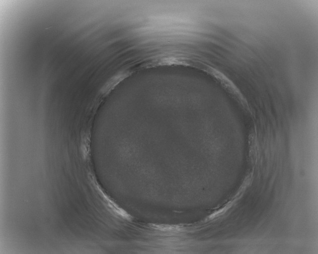 X0000069360785200605261957