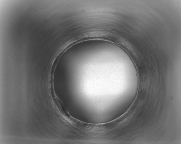 X0000069360786200605261957