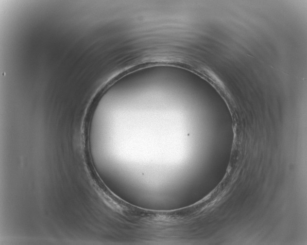 X0000069360787200605261957