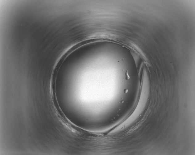 X0000069360788200605261957