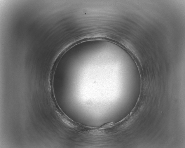 X0000069360789200605261957