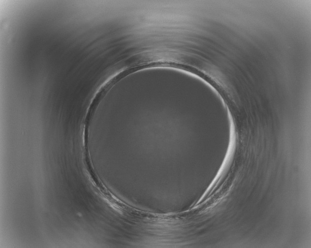 X0000069360790200605261957