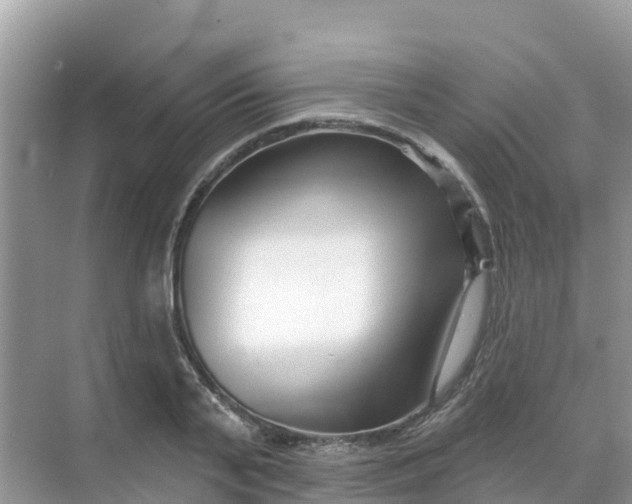 X0000069360791200605261957