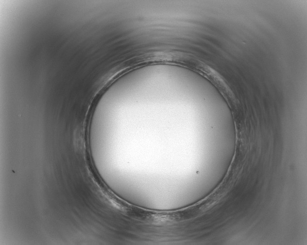 X0000069360794200605261957