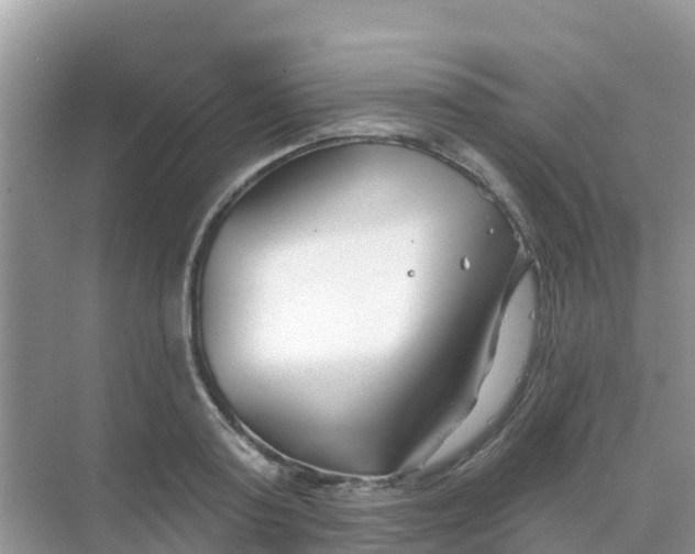 X0000069360795200605261957