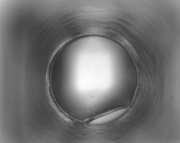 X0000069360796200605261957