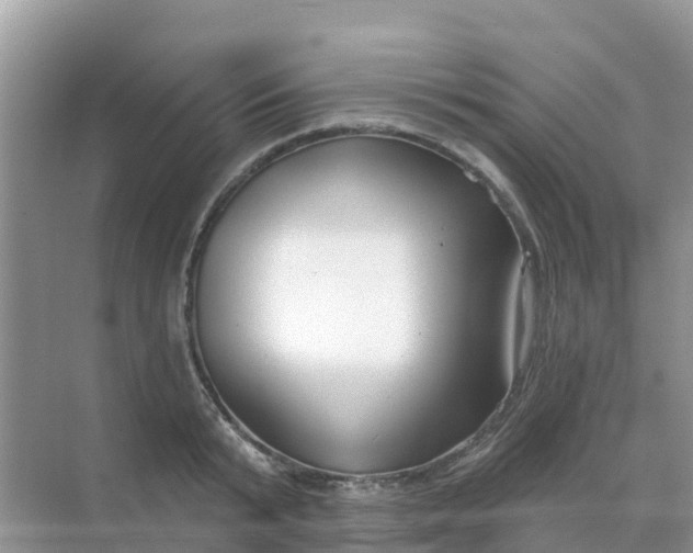 X0000069360799200605261957