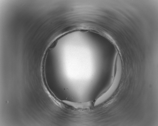 X0000069360803200605261957