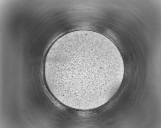 X0000069360804200605261957