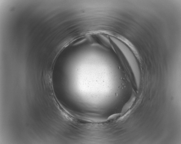 X0000069360809200605261957