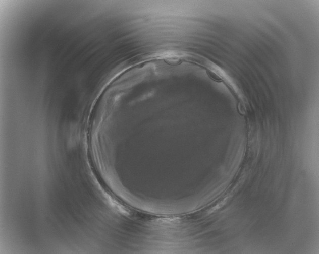 X0000069360810200605261957