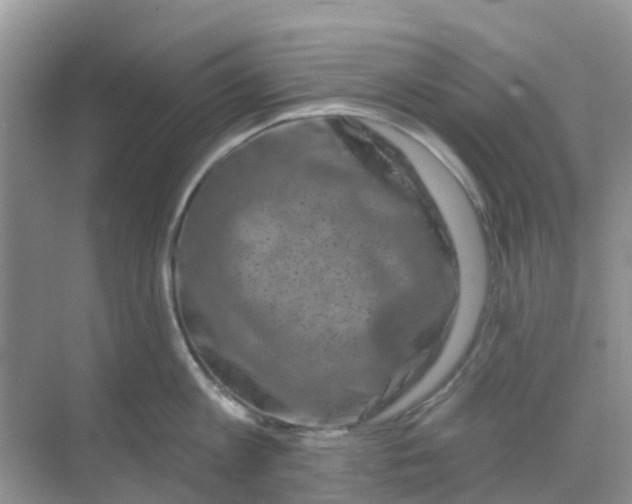 X0000069360813200605261957