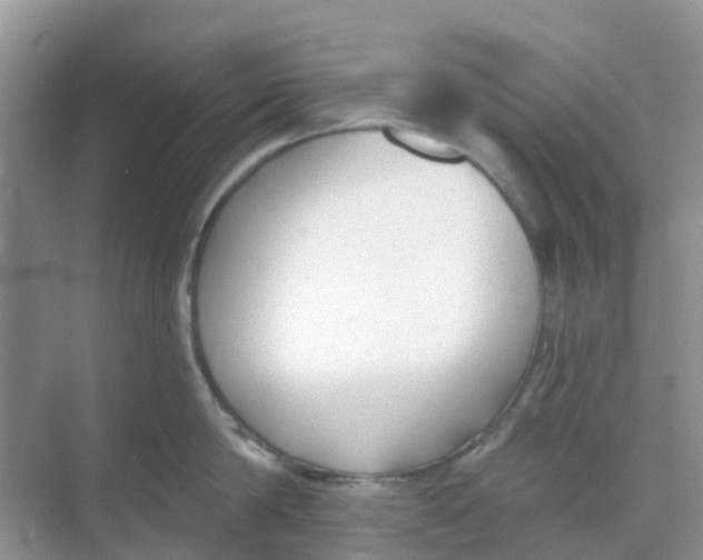 X0000069360814200605261957