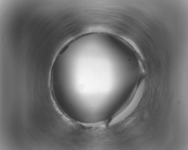 X0000069360815200605261957