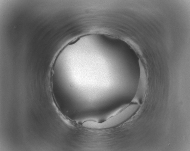 X0000069360816200605261957